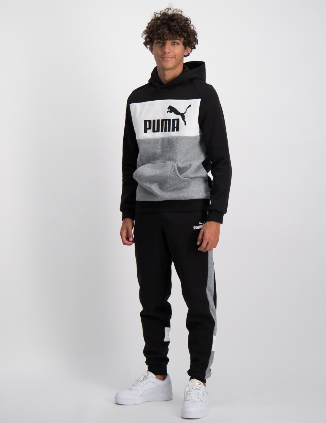 Puma ace hot sale blocked hoodie